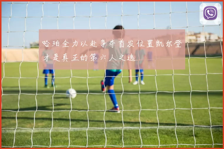 哈珀全力以赴争夺首发位置凯尔登才是真正的第六人之选